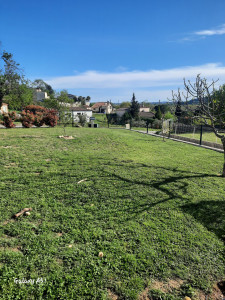 Photo de galerie - Tonte de pelouse - Débroussaillage