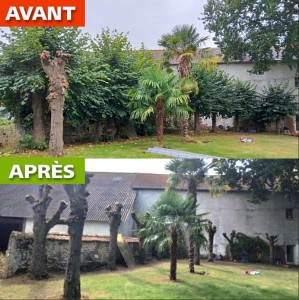 Photo de galerie - Avant - après 