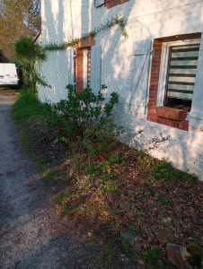 Photo de galerie - Travail avant travaux 