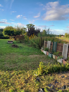 Photo de galerie - Avant débroussaillage  à  Saint rémy 