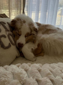 Photo de galerie - Gros dodo de Aïko