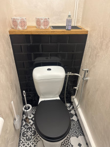 Photo de galerie - Pose wc avec habillage derrière wc