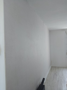 Photo de galerie - Toile de verre posé