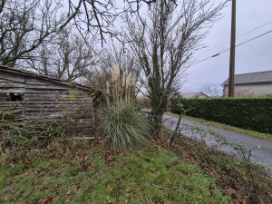 Photo de galerie - Elagage et coupe d'arbres