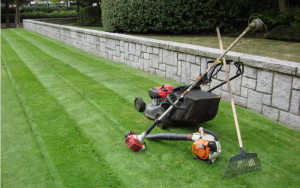 Photo de galerie - Une partie de mon équipement