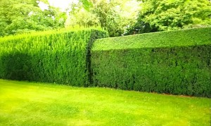 Photo de galerie - Jardinier