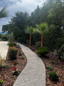 Photo de galerie - Réalisation d’une allée et plantation 