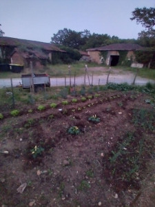 Photo de galerie - Paysagiste - Aménagement du jardin