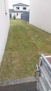 Photo de galerie - Tonte de pelouse - Débroussaillage