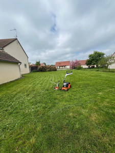 Photo de galerie - Tonte 