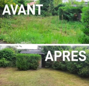 Photo de galerie - .