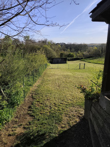 Photo de galerie - Tonte 