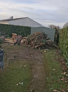 Photo de galerie - Évacuation des végétaux renard bâti 