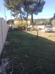 Photo de galerie - Tonte de pelouse - Débroussaillage