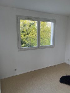 Photo de galerie - Peinture - Tapisserie