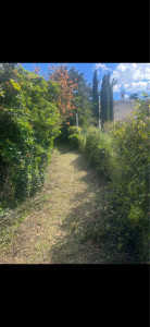 Photo de galerie - Tilloi Service Espaces Verts Travail rapide et soigné -PRIX COMPÉTITIF • élagage, ététage • débroussaillage • taille de haie • entretien jardins et parcs • ramassage des végétaux • tout travaux sur demande Déplacement et devis gratuit sur toute distance