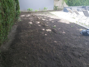 Photo de galerie - Préparation du sol pour gazon 