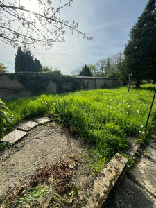 Photo de galerie - Débroussaillage