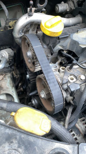 Photo de galerie - Distribution 1.5DCI 