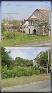 Photo de galerie - Débroussaillage seulement 