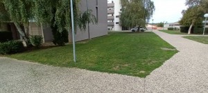 Photo de galerie - Tonte de pelouse - Débroussaillage