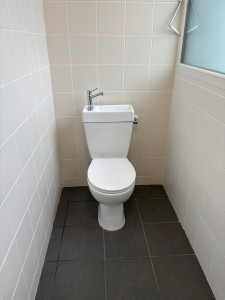 Photo de galerie - Pose d’un toilette avec son lave main intégré.