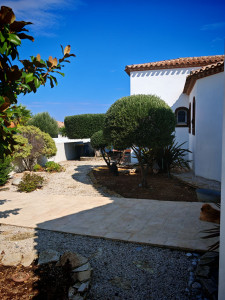 Photo de galerie - Taille d'olivier 
