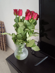 Photo de galerie - Très jolie rose dans un Vase déposé dans le salon de un de mes clients. 
Très sympa à la fin du grand ménage et rafraîchissement de l appartement. 