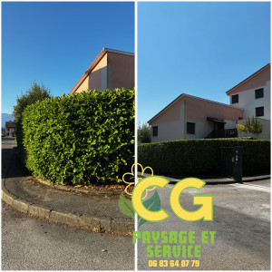 Photo de galerie - Taille 