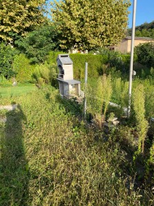 Photo réalisation - Tonte de pelouse - Débroussaillage - Lionel F. - Irigny (Centre) : Tonte de pelouse