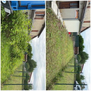 Photo de galerie - Tonte de pelouse - Débroussaillage