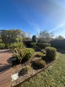 Photo de galerie - Taille de haies et d'arbustes