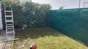 Photo de galerie - Débroussaillage taillage de haie avec évacuation et voici la photo de après passage souffleur 
