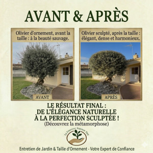 Photo de galerie - Olivier 