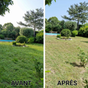 Photo de galerie - AVANT-APRES
