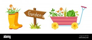 Photo de galerie - Si vous avez des petits travaux de jardinage à réaliser, n'hésitez pas :) 
