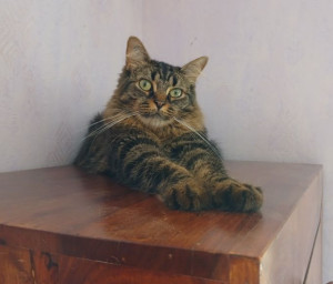 Photo de galerie - Gandalf, le magicien :)