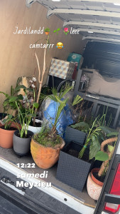 Photo de galerie - Mon camion c’est devenu jardiland ?