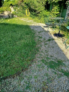 Photo de galerie - Avant désherbage 