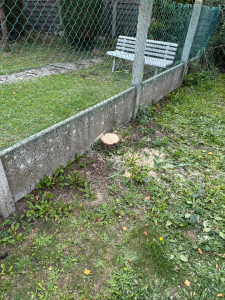 Photo de galerie - Fin abattage 