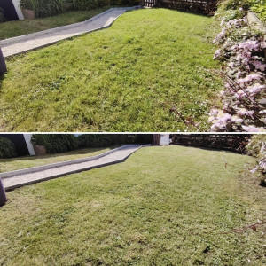 Photo de galerie - . 