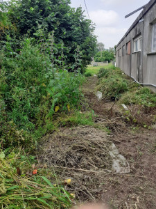 Photo de galerie - Arrachages des hautes herbes 