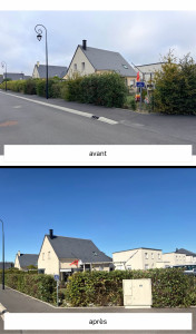 Photo de galerie - Taille de haies réduction de la hauteur et remise me forme pour un jardin plus propre et harmonieux