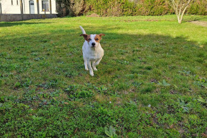 Photo de galerie - On profite du soleil 