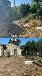 Photo de galerie - Nettoyage et rafraichisement d’extérieur ( les clients voulaient nettoyer , les tas restant sont des souches)