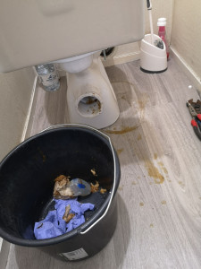 Photo de galerie - WC bouché 