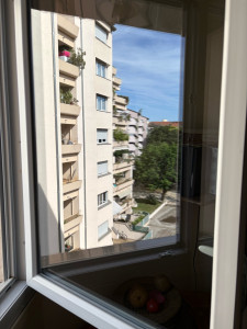 Photo de galerie - Réalisation chez un particulier à Lyon 7ème Des vitres propres, c’est plus de lumière dans votre intérieur.