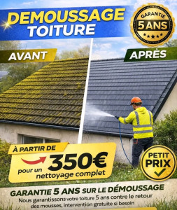Photo de galerie - Demoussage toiture 