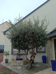 Photo de galerie - Avant 