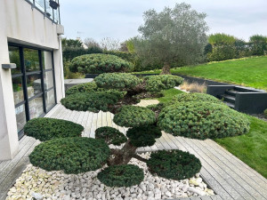 Photo de galerie - Taille de haies et d'arbustes